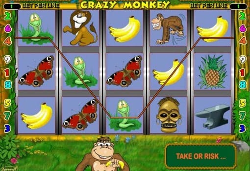 Игровые автоматы онлайн с выводом денег Crazy Monkey